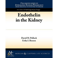 Endothelin in the Kidney