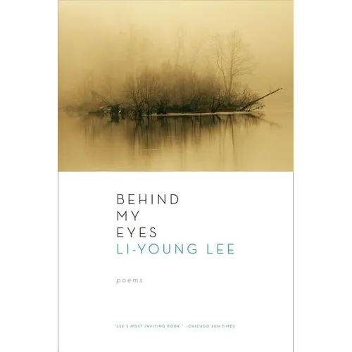 Behind My Eyes