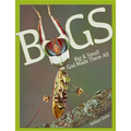 Bugs Big & Small: God Made Them All