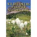 Wildflowers of Glacier National Park: And Surrounding Areas