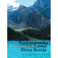 Tumbleweeds and Shiny Braids: RV Travel Journal out West