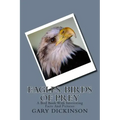 Eagles: Birds of Prey