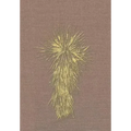 Marfa and Presidio County, Texas: A Social, Economic, and Cultural Study 1937 to 2008 Volume Two, 1990-2008