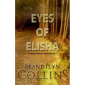 Eyes Of Elisha