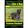 Pyrenees Shepherd, Pyrenean Shepherd Training AAA AKC Think Like a Dog, But Don't Eat Your Poop! Pyrenees Shepherd Breed Expert Training: Here's EXACT