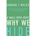 A Small Book about Why We Hide: How Jesus Rescues Us from Insecurity, Regret, Failure, and Shame