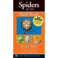 Spiders of the North Woods