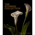 The Stebbins Collection: A Gift for the Morse Museum