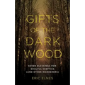 Gifts of the Dark Wood: Seven Blessings for Soulful Skeptics (and Other Wanderers)