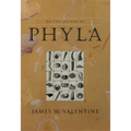 On the Origin of Phyla