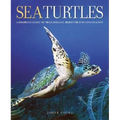 Sea Turtles: A Complete Guide to Their Biology, Behavior, and Conservation