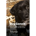 Dog Gone It: From Trauma to Tail-Wags, Seeing God in the Day-to-Day