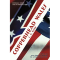 Copperhead Wales: A Novel of New York City During the American Civil War