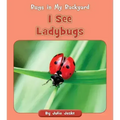 I See Ladybugs