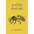 The Anatomy of the Honey Bee