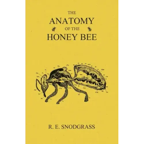 The Anatomy of the Honey Bee