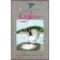 The Gumboot Geese