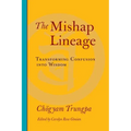 The Mishap Lineage: Transforming Confusion Into Wisdom