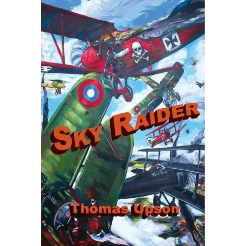 Sky Raider
