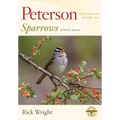 Peterson Reference Guide to Sparrows of North America