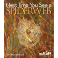 Next Time You See a Spiderweb