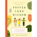 The Little Book of Foster Care Wisdom: 365 Days of Inspiration and Encouragement for Foster Care Families