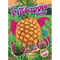 See a Pineapple Grow