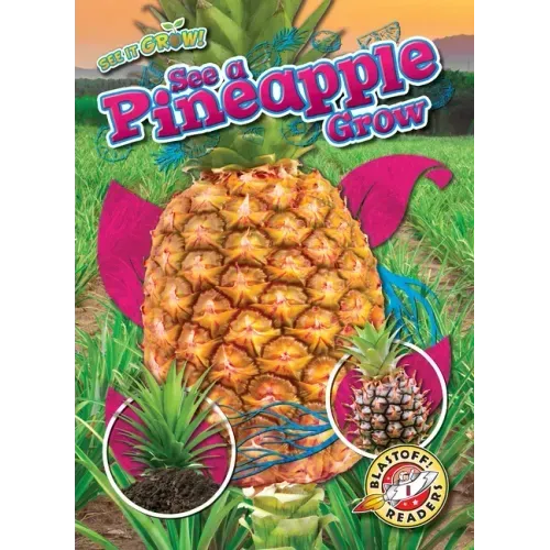 See a Pineapple Grow