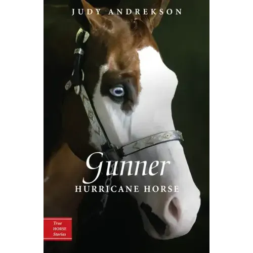 Gunner: Hurricane Horse