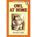 Owl at Home