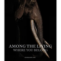 Among the Living: Where You Belong