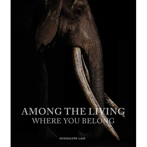 Among the Living: Where You Belong