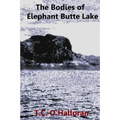 The Bodies of Elephant Butte Lake