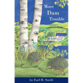 More Dam Trouble