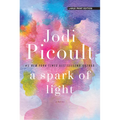 A Spark of Light
