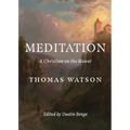 Meditation: A Christian on the Mount