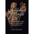 Unremembered Wings