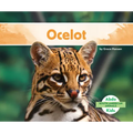 Ocelot