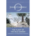 The Flight of the Wild Gander: Explorations in the Mythological Dimension -- Selected Essays 1944-1968