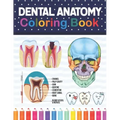 Dental Anatomy Coloring Book: Learn the Basics of Dental Anatomy. Dental Anatomy Coloring Book for Cute Children's, Kids, Boys, Girls, Dental Assistan