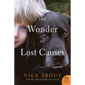 The Wonder of Lost Causes