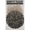 Identity Parade: New British & Irish Poets