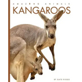 Kangaroos