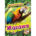 Macaws