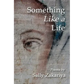 Something Like a Life