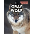 The Gray Wolf