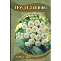 Hoya Lacunosa: Plant overview and guide