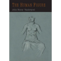 The Human Figure