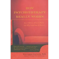 How Psychotherapy Really Works