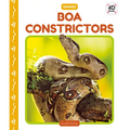 Boa Constrictors